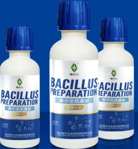 BACILLUS PREPARATION